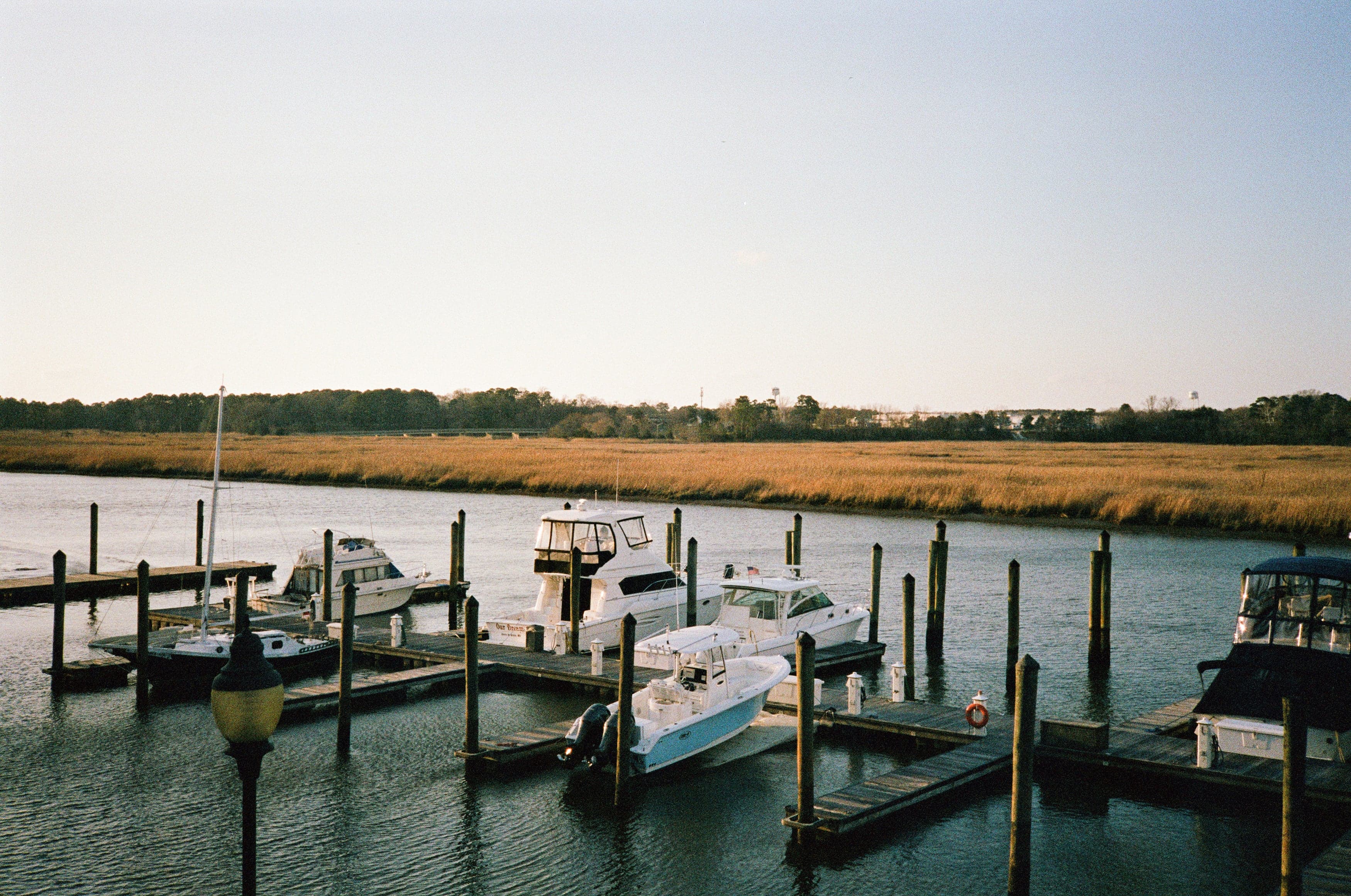 Marina with marsh grass